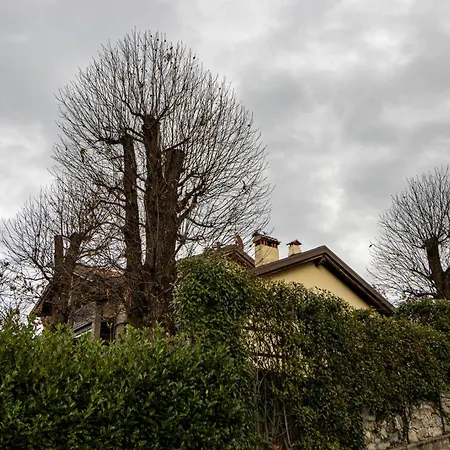 Appartement Vista Alpi Sopra Bellagio - Marie Therese Magreglio
